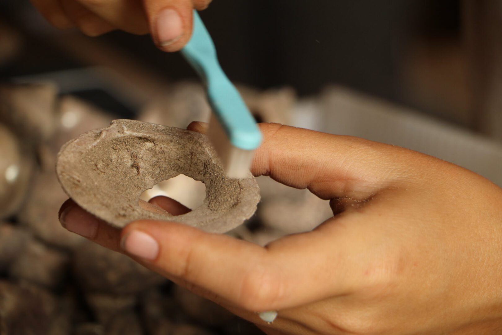 An artifact being brushed