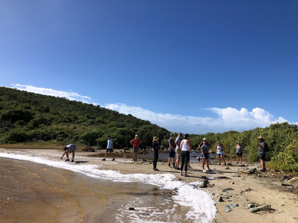 A Christmas day Ram Head hike led by Friends President Todd Sampsell. The organization has been offering an adapted version of their annual seminar series to help visitors and residents explore the National Park.