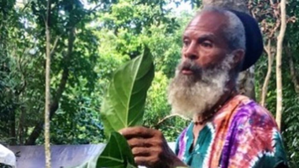 Ital Anthony