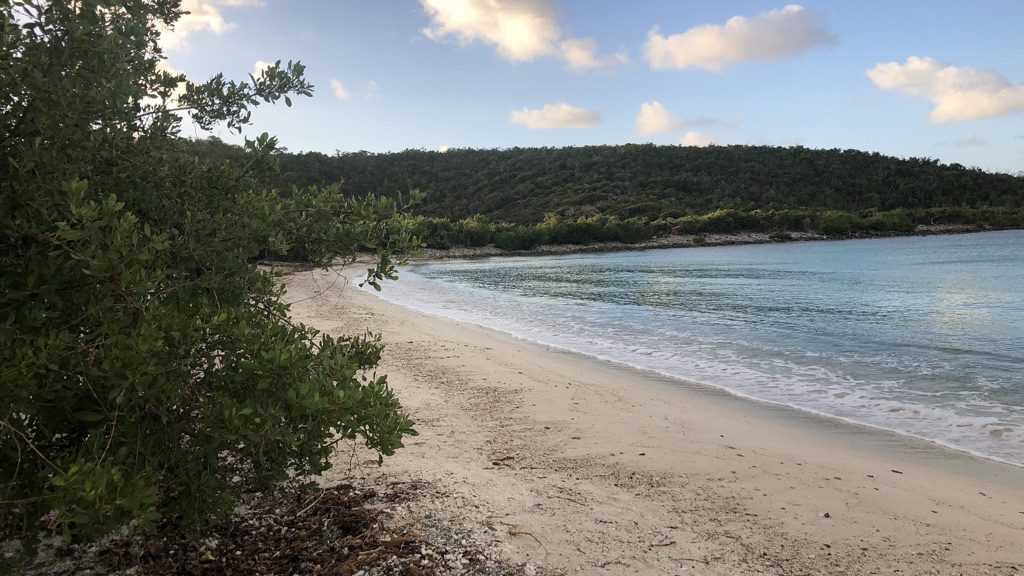 salt pond