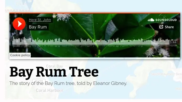 Bay Rum Tree