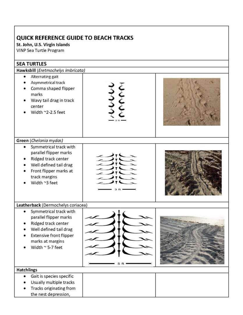 QUICK REFERENCE GUIDE TO BEACH TRACKS_Page_1