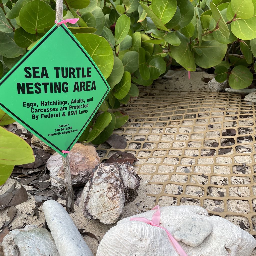 Protected Sea Turtle Nest