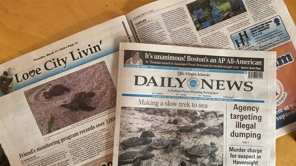 Daily News Turtles