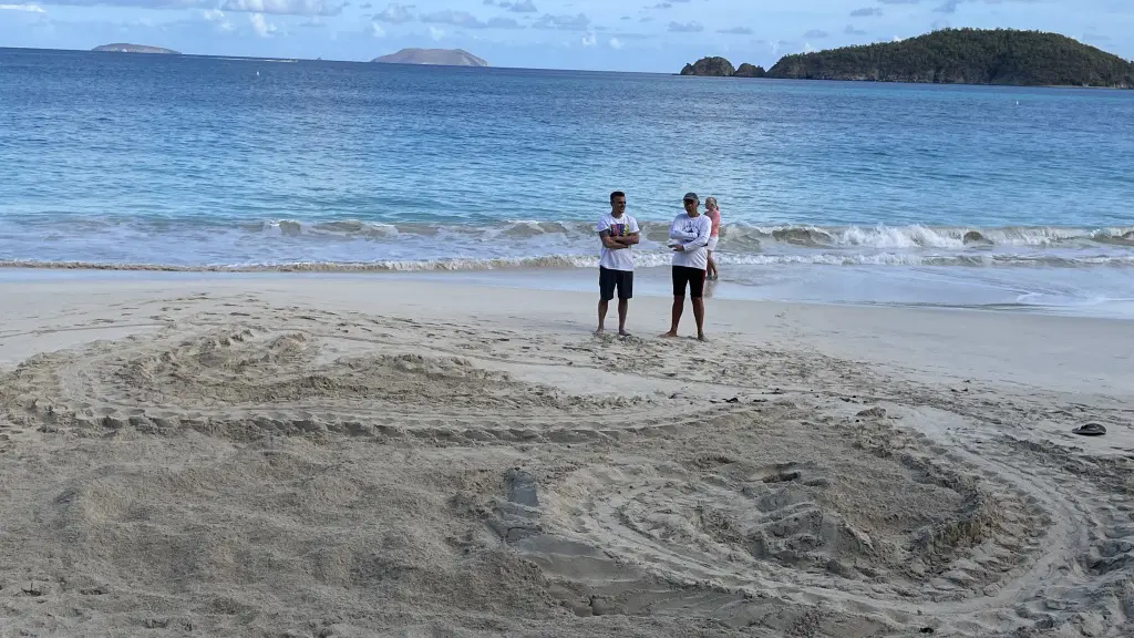 Leatherback tracks