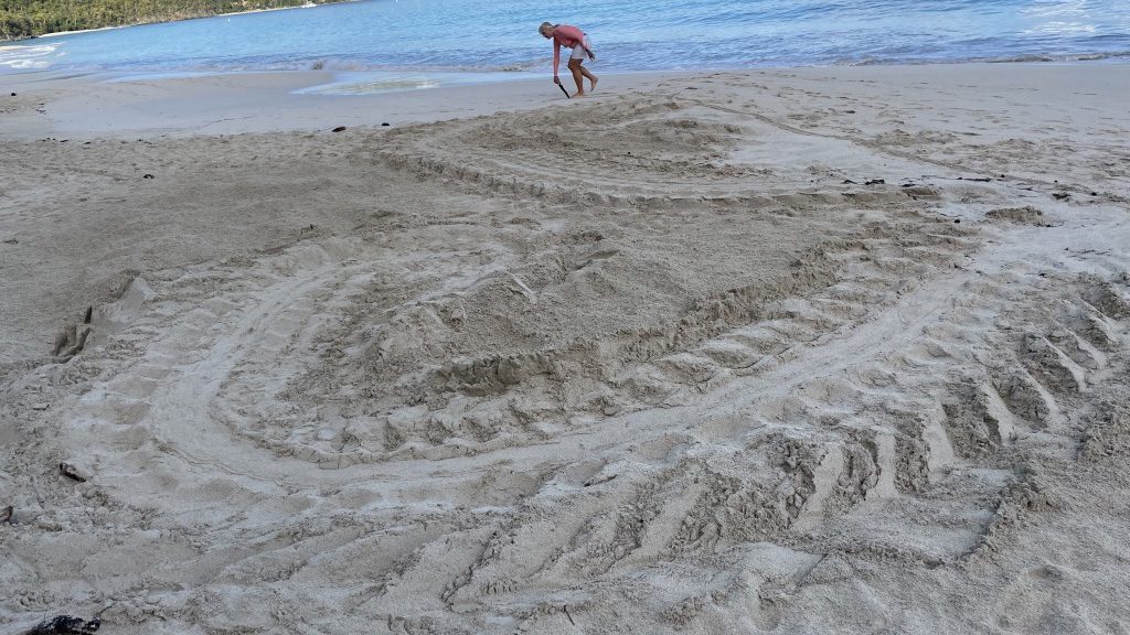 Leatherback tracks