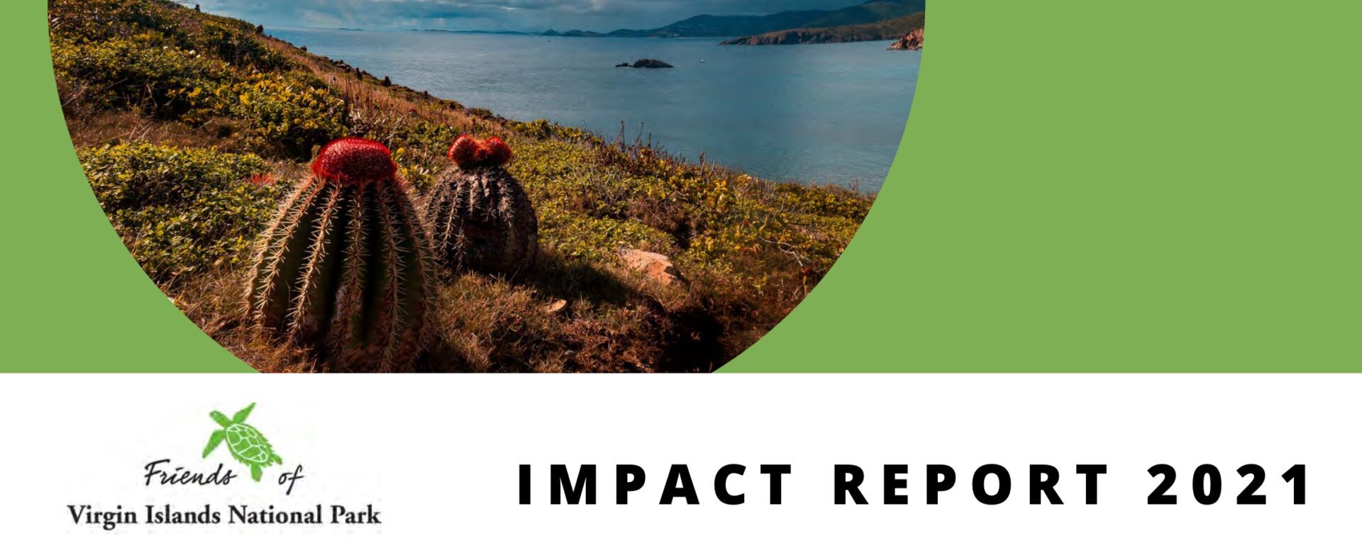 79EA173F-B424-43F9-8F90-668586B244D5 Impact Report