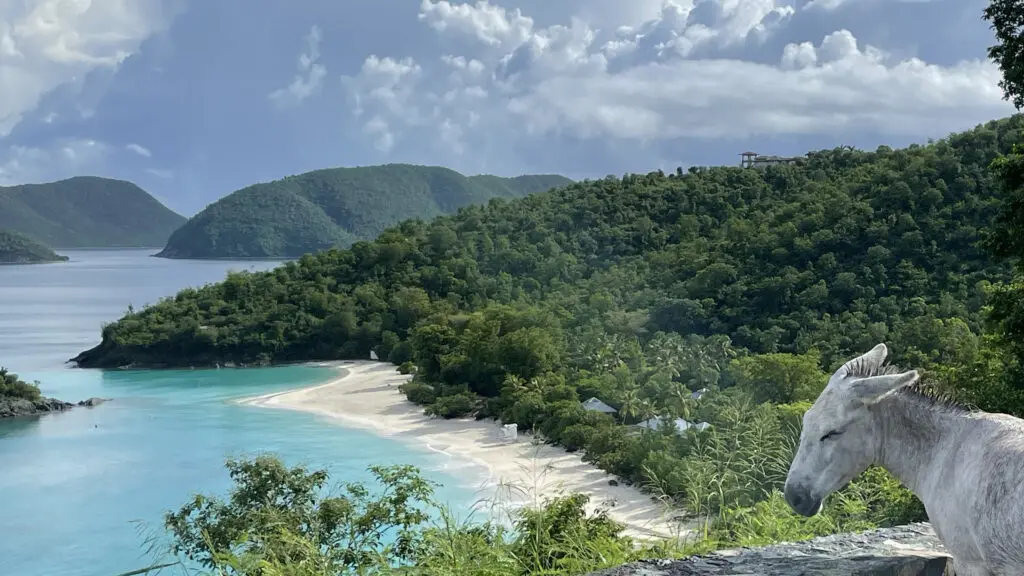 Trunk bay