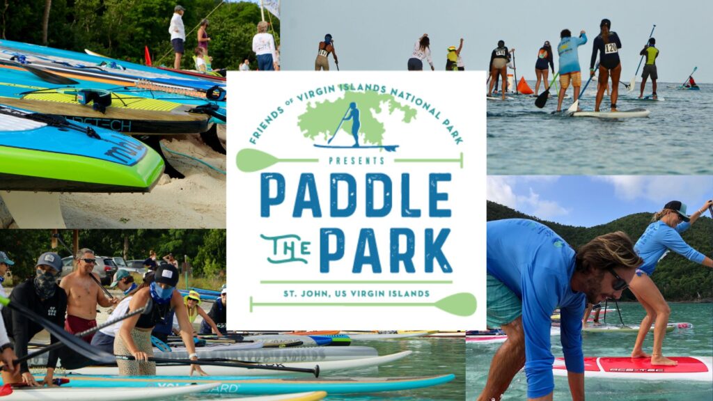 Paddle The Park