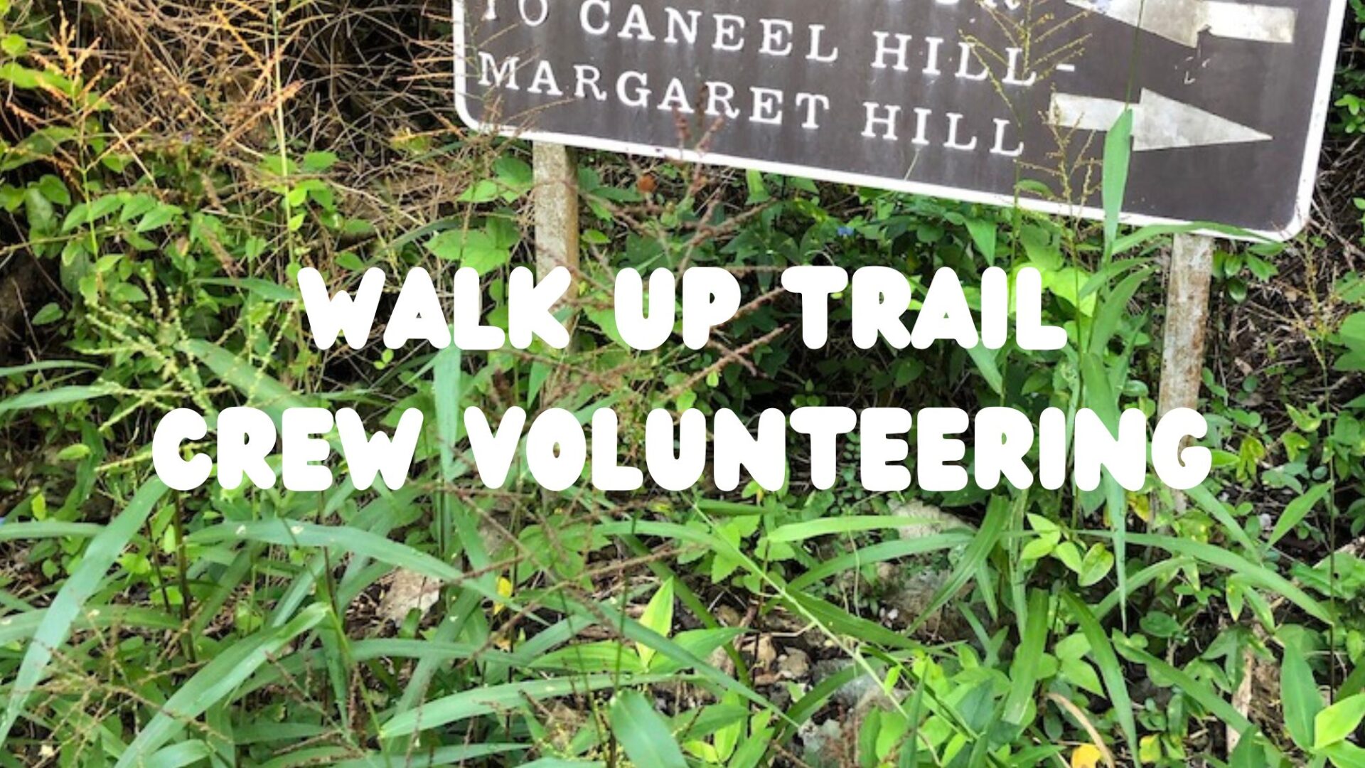 walk up trail crew volunteers