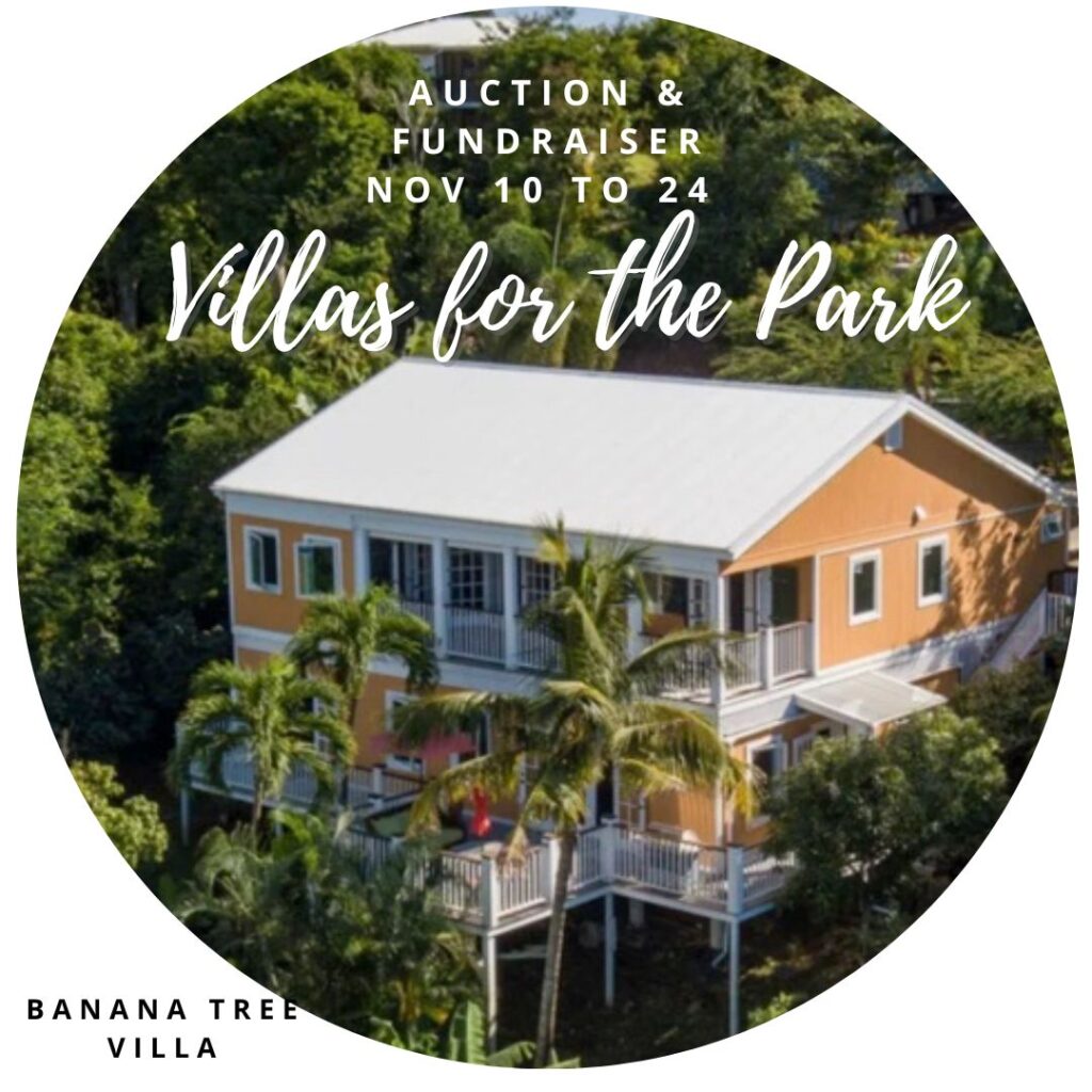 Orange two-story villa with palm trees
