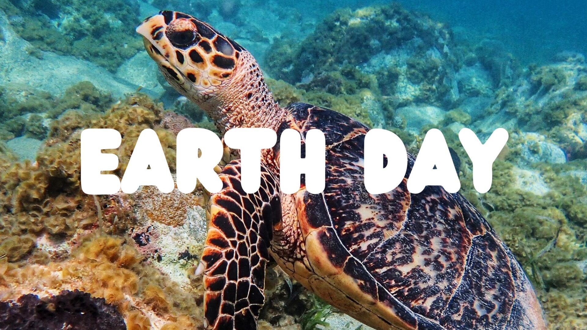 earth day