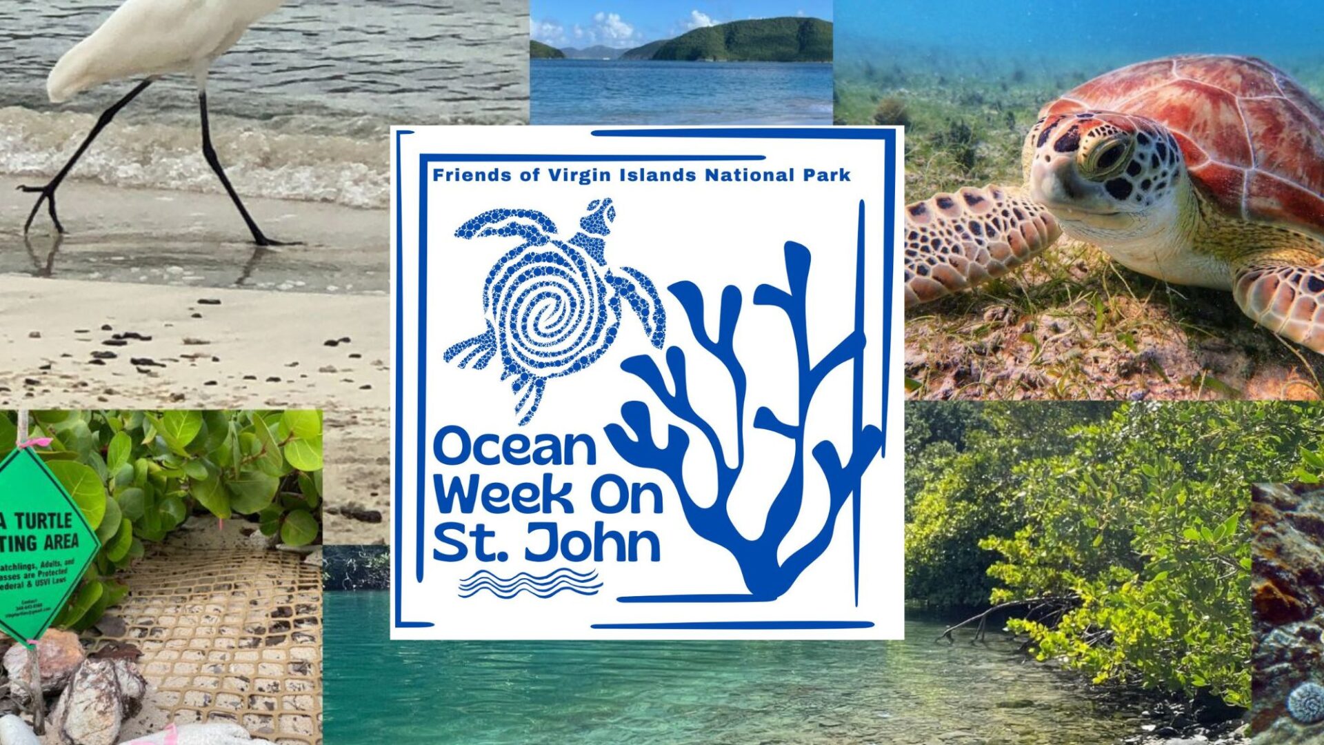 ocean week 16 9