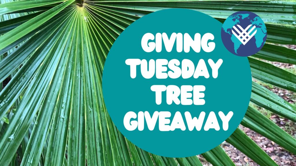 Giving Tuesday Tree Giveaway 16x9