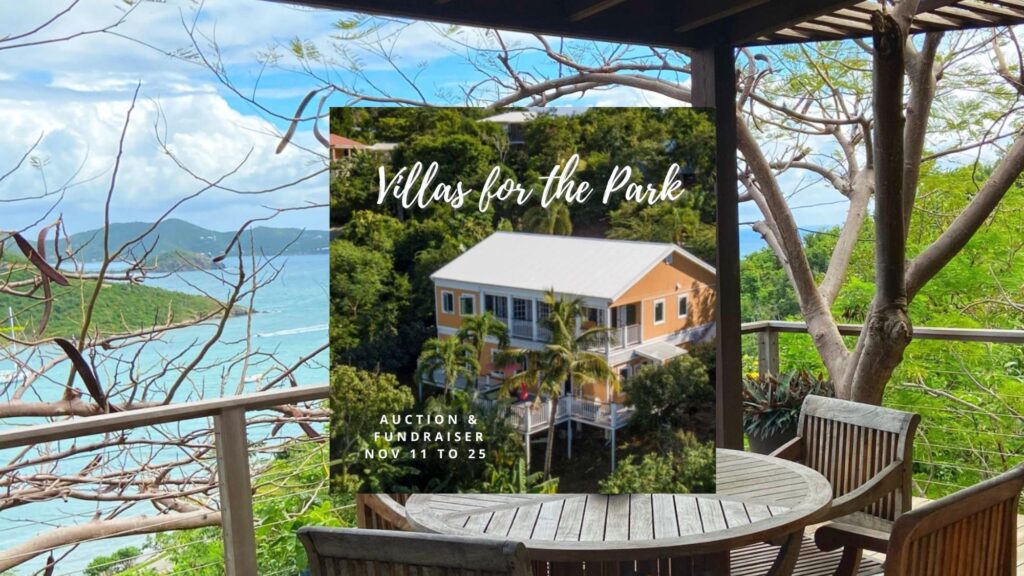 Villas for the park 169