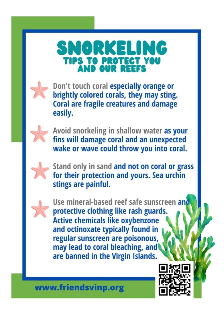 Snorkel Card (5.25 × 7.25 in) (1)