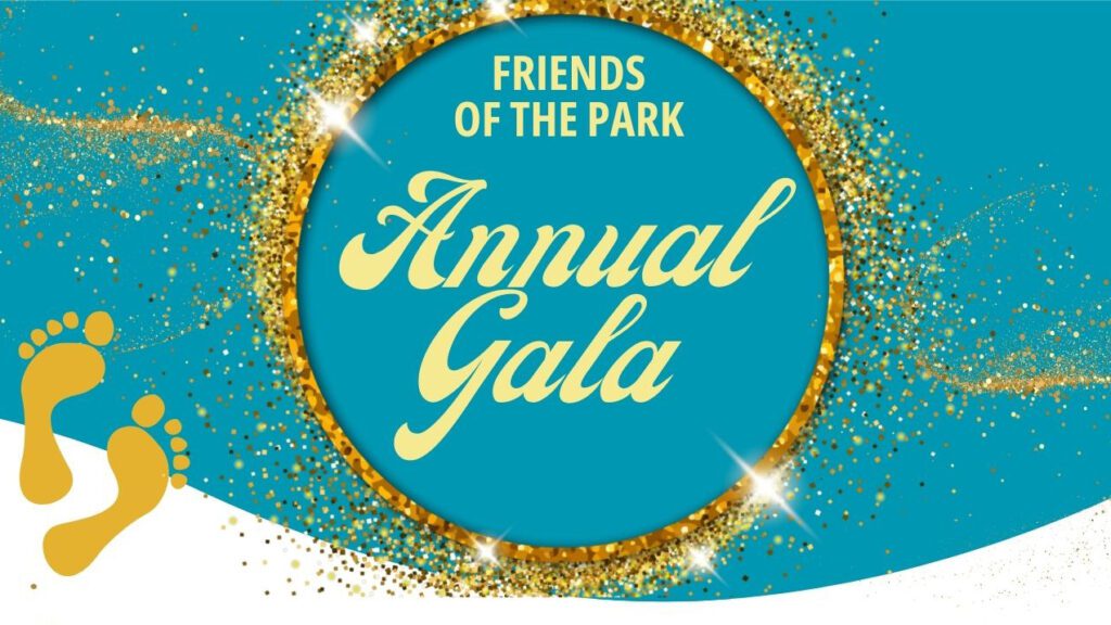 A4 posters - Annual Gala 2024 flyer