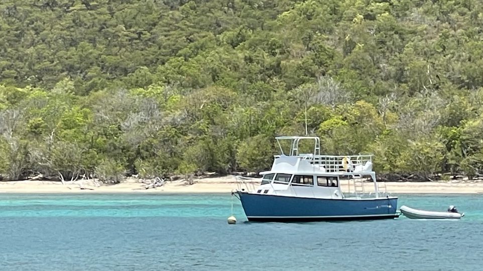 sadie 16 9