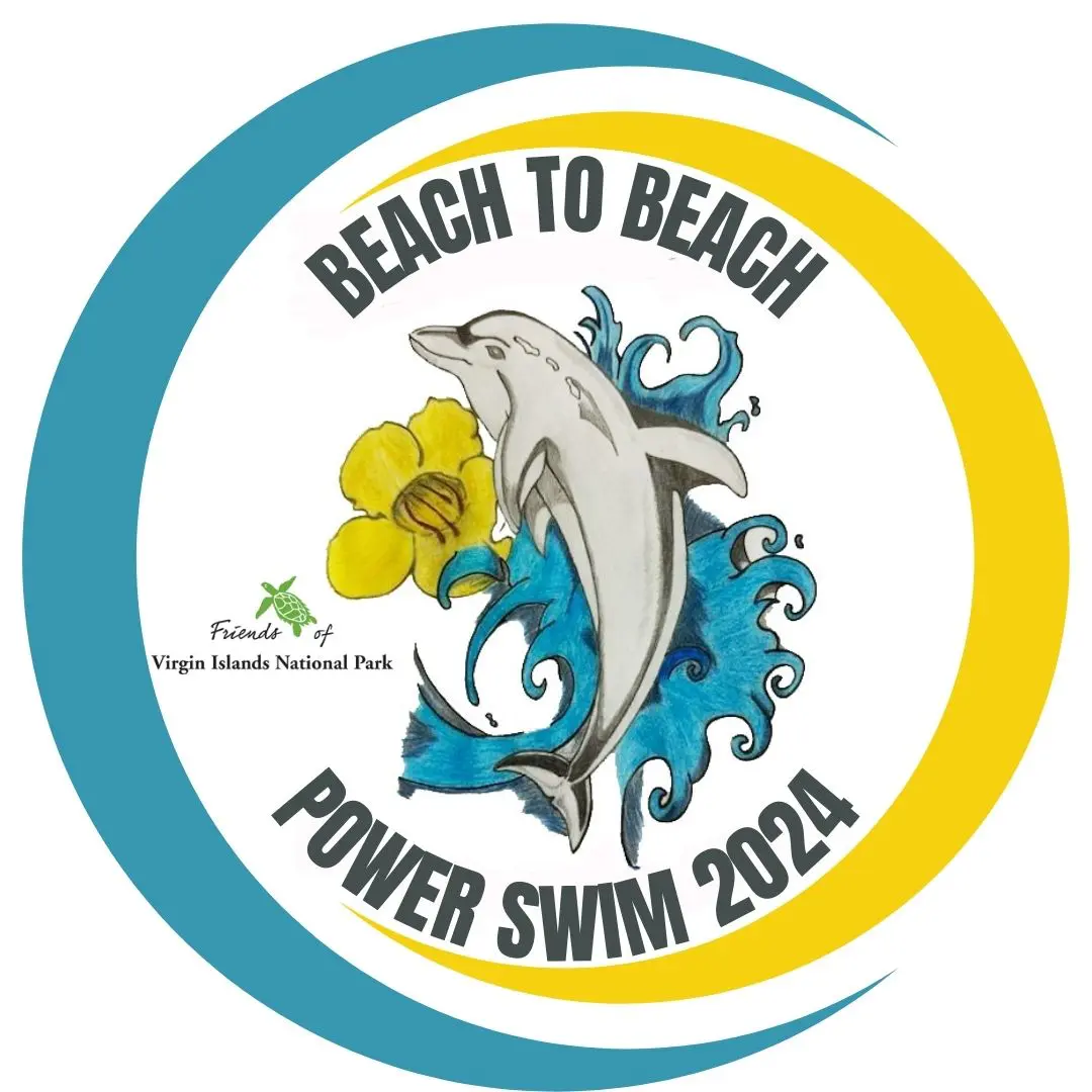 Beach to Beach Power Swim logo 2024