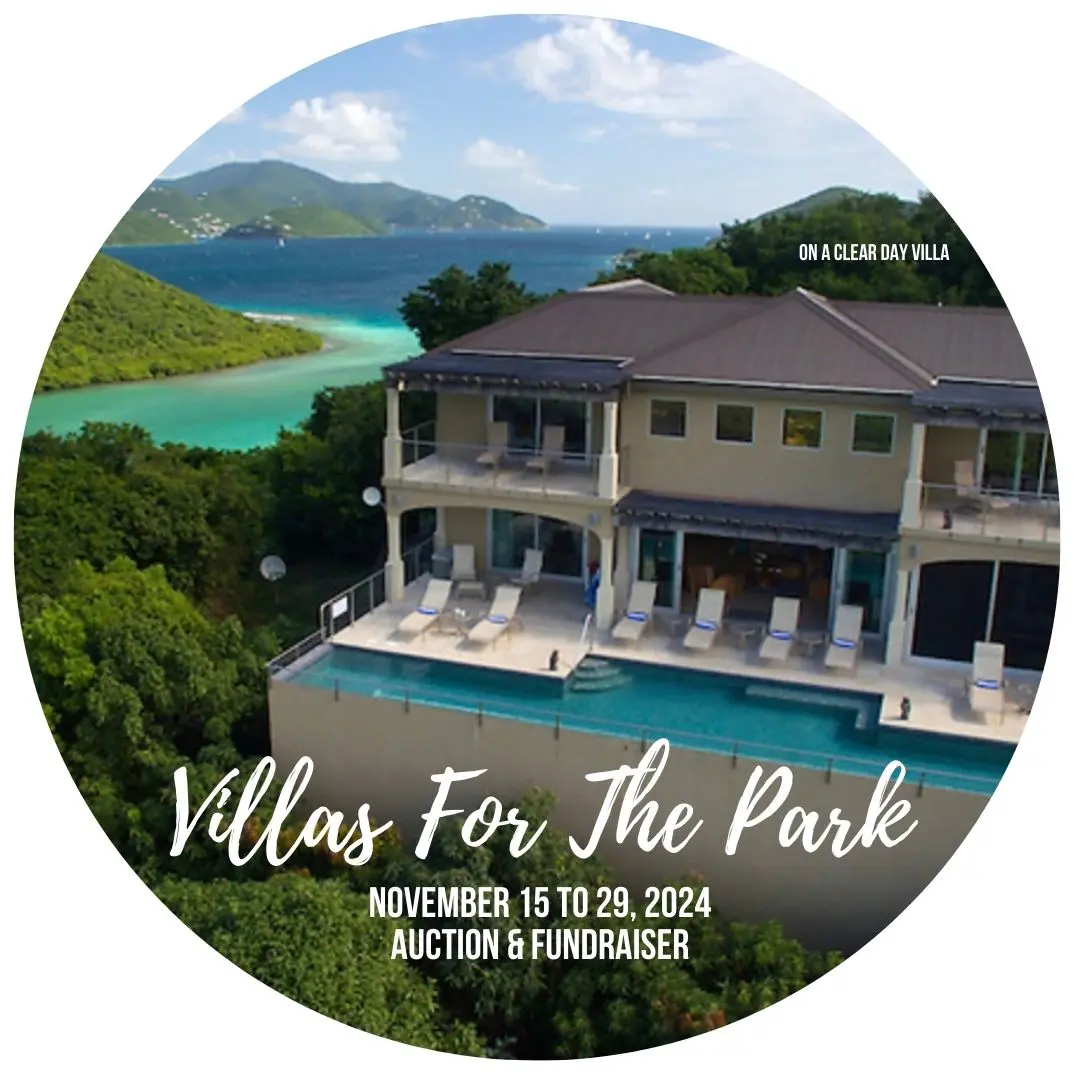 Villas For The Park 2024 - On A Clear Day