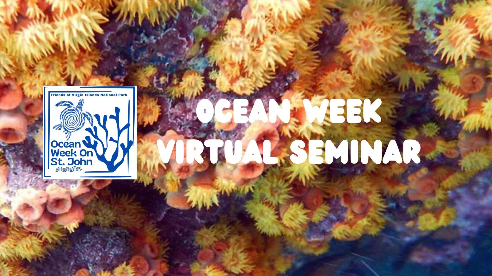 Coral ecosystem Ocean Week Virtual Seminar - Coral Ecosystems