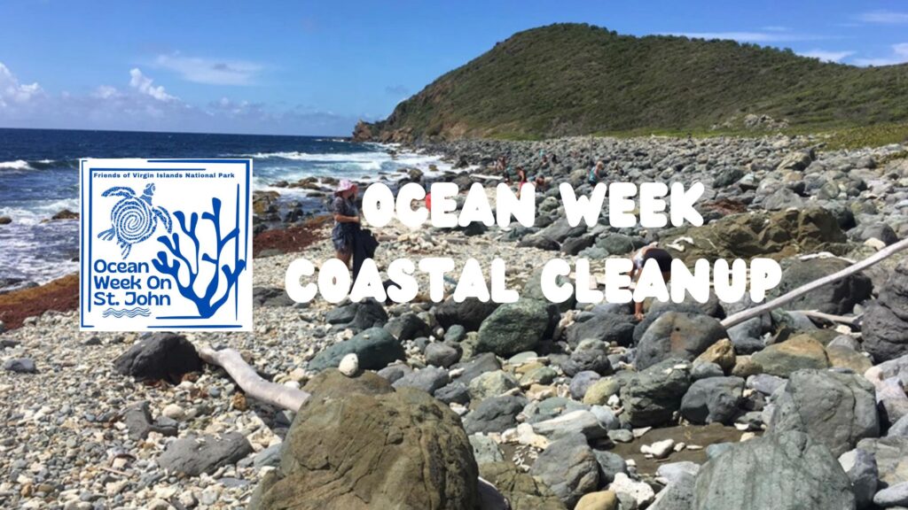 Ocean Week Drunk Bay Cleanup