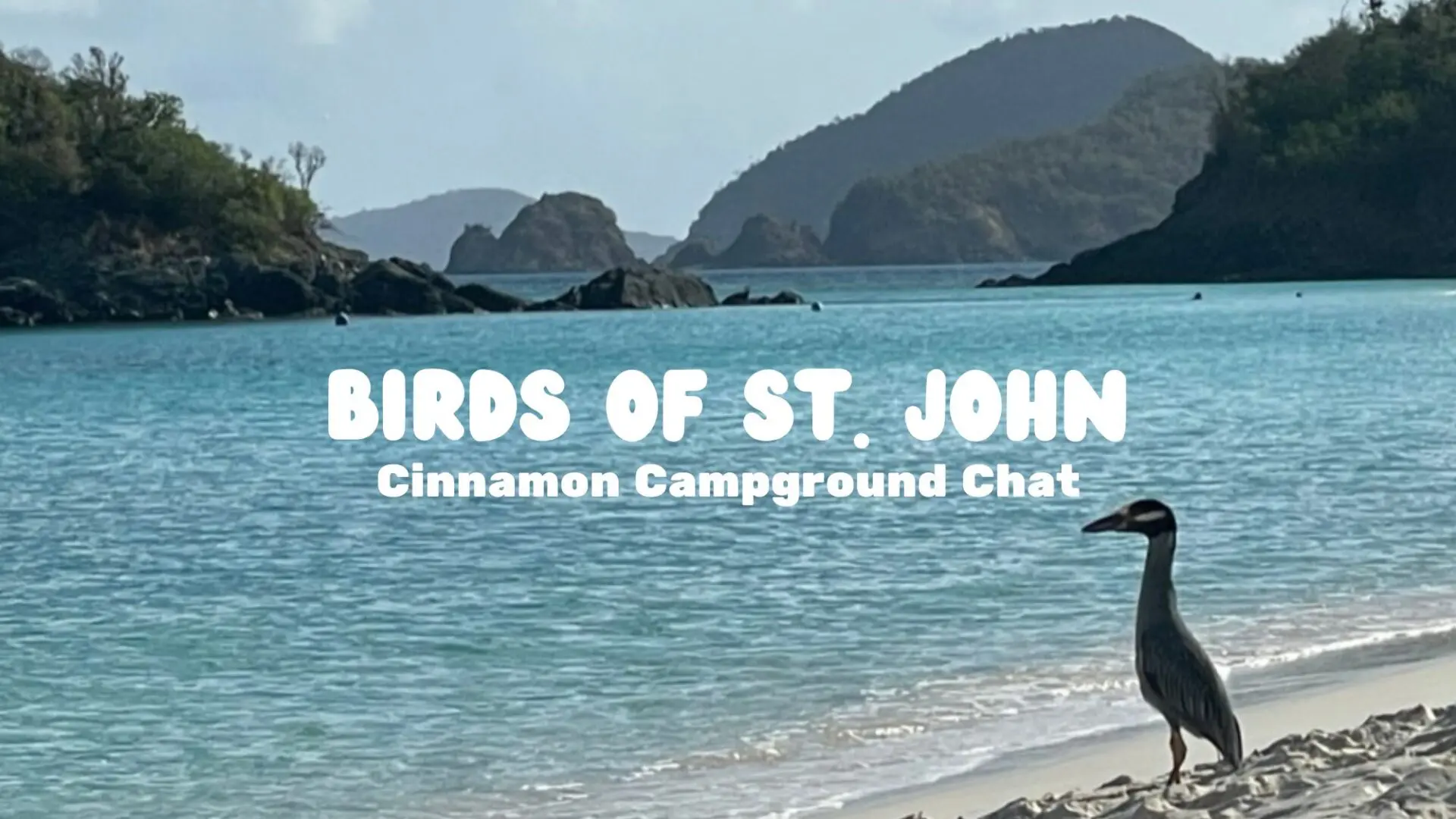 Birds of st john