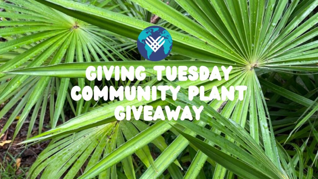 Community Plant Giveaway
