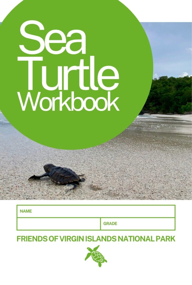 Sea Turtle Workbook - COVER
