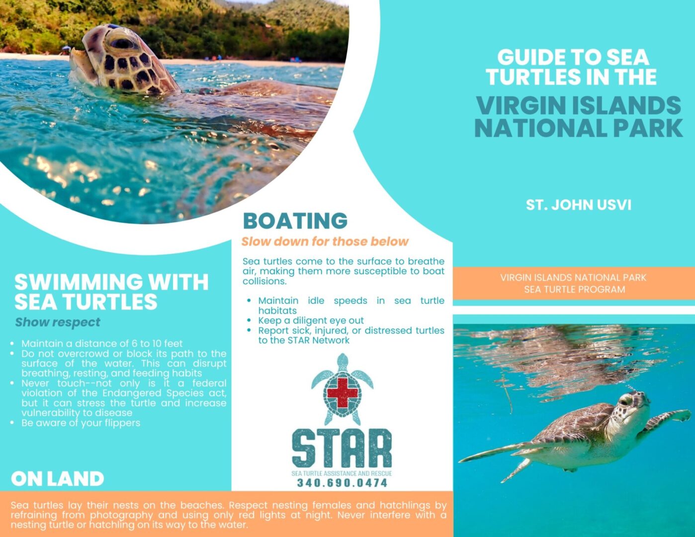 Guide to sea turtles in VINP - 1