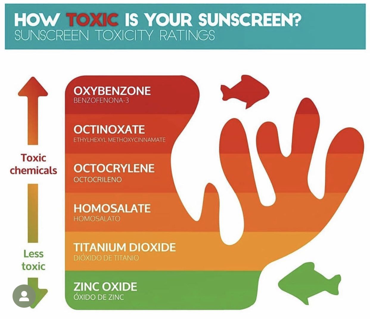 How toxic is your sunscreen