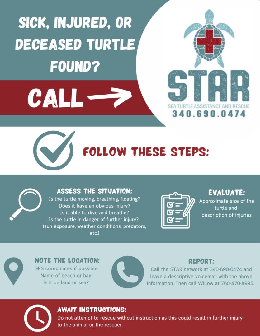 WHAT TO DO STAR