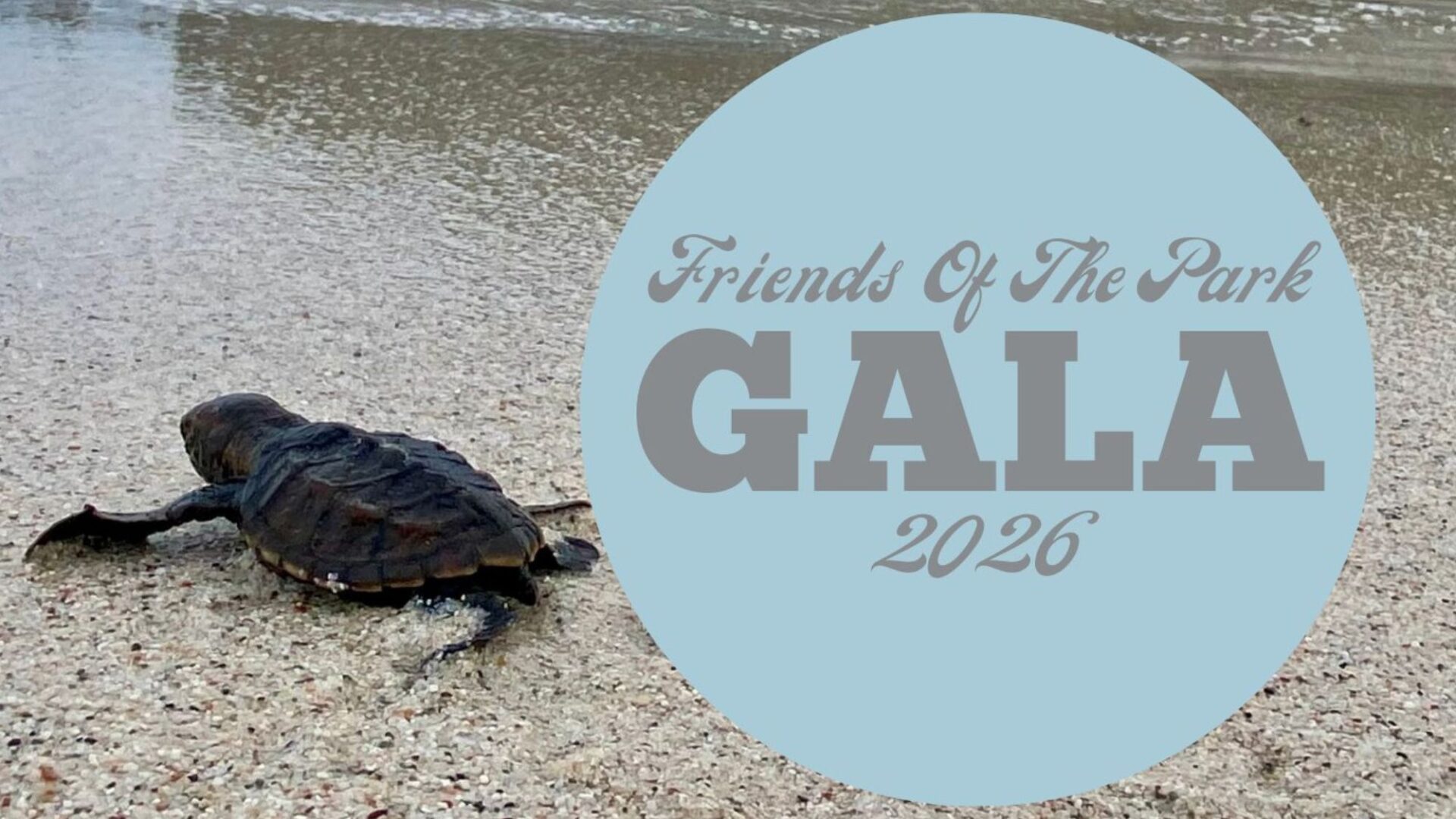 Gala 2026 6×9