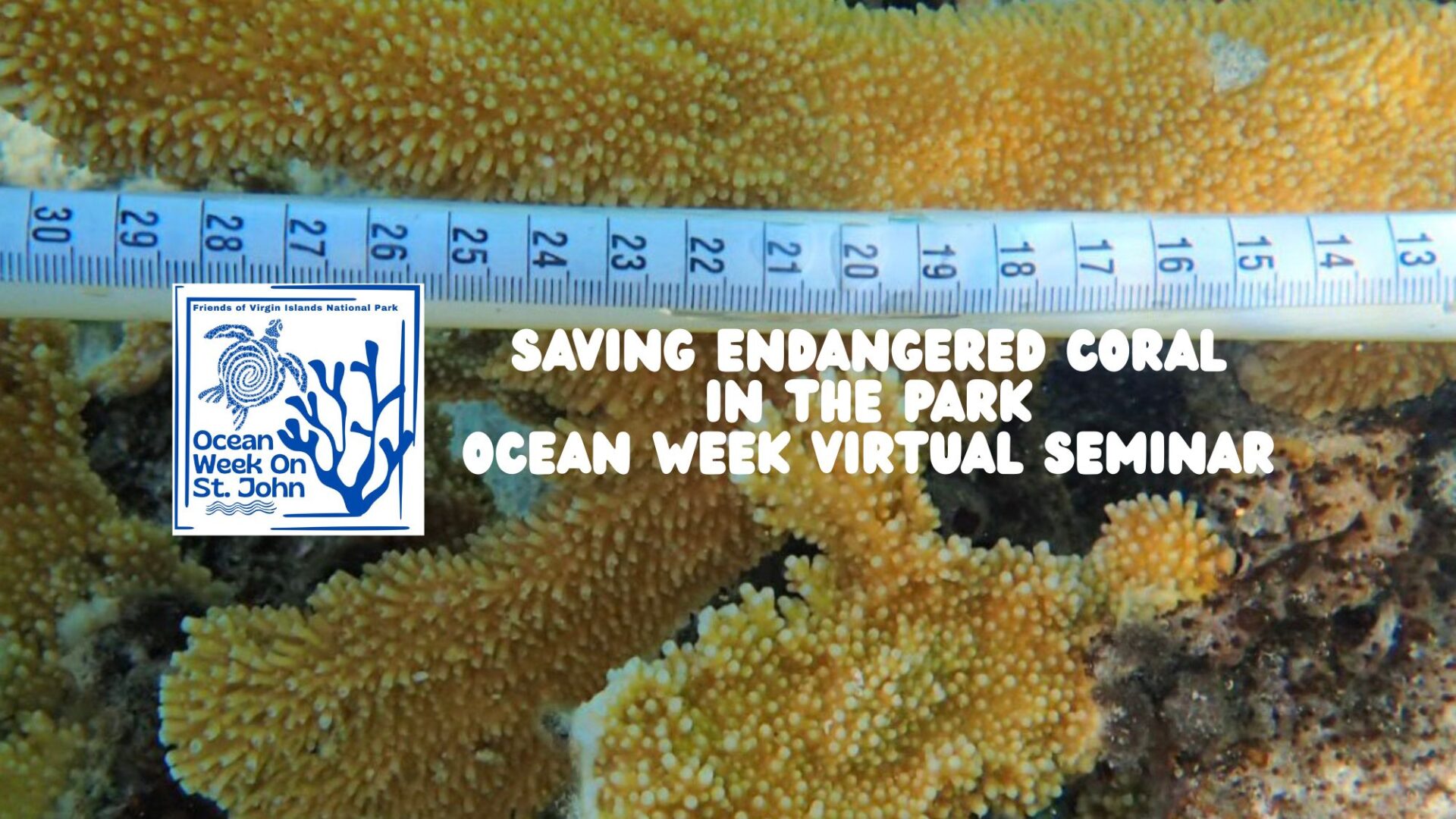 CORE coral seminar 16×9