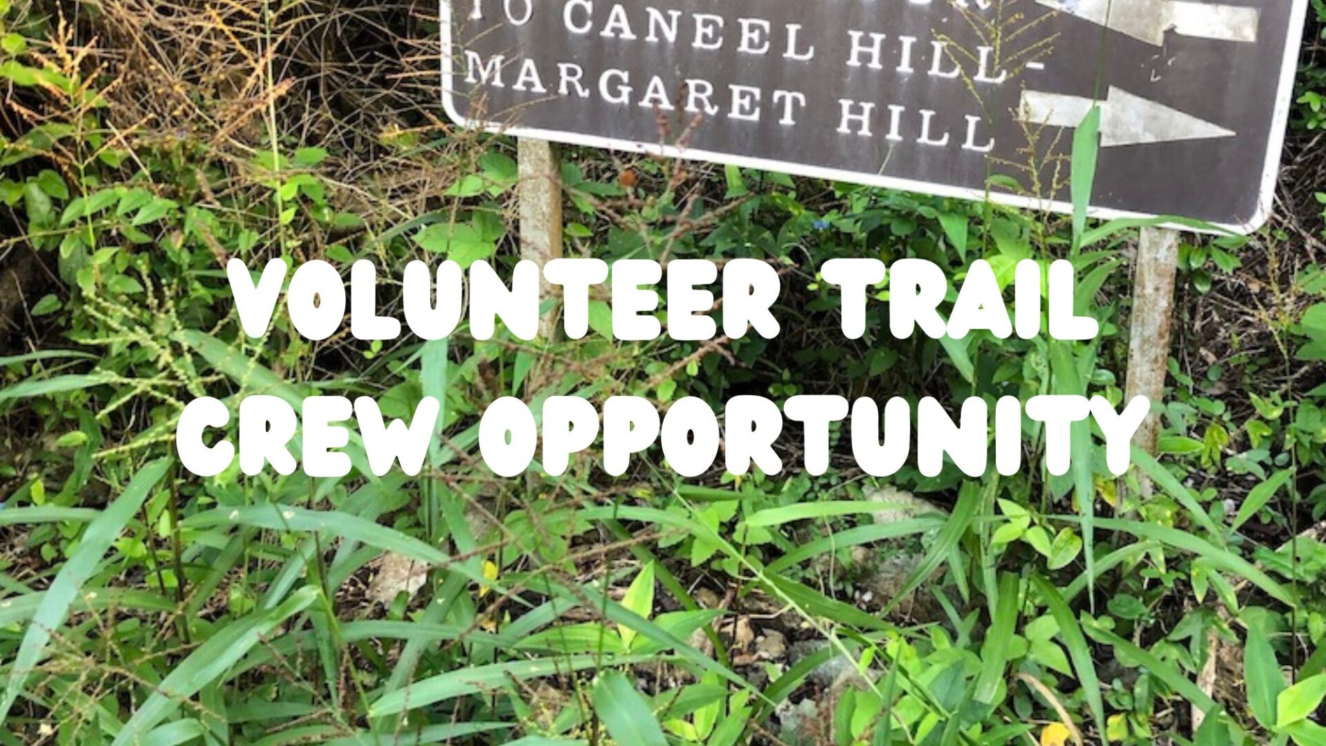 Trail crew volunteering