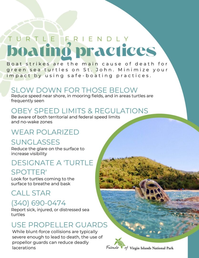 sea turtle safe boating (5) (1)