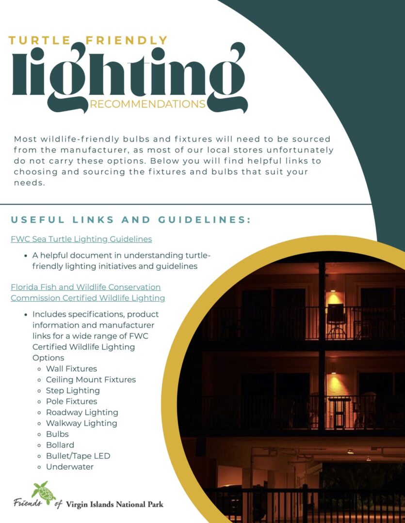 turtle friendly lighting 2