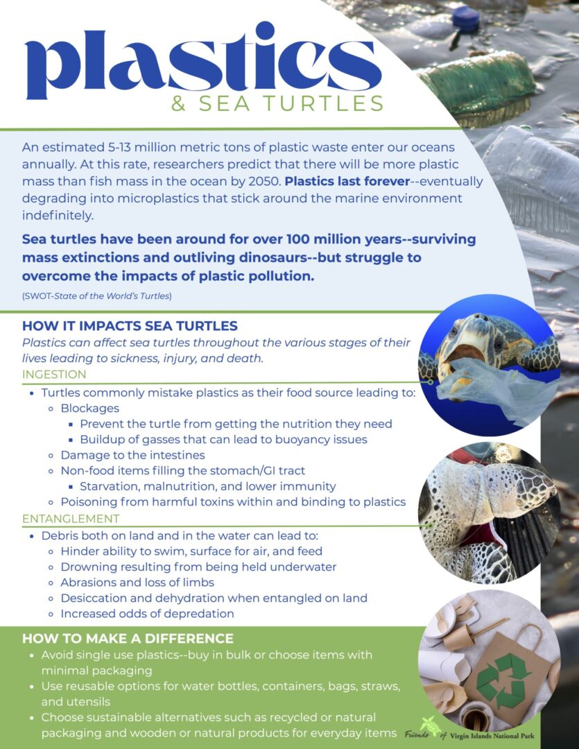 Plastics and sea turtles