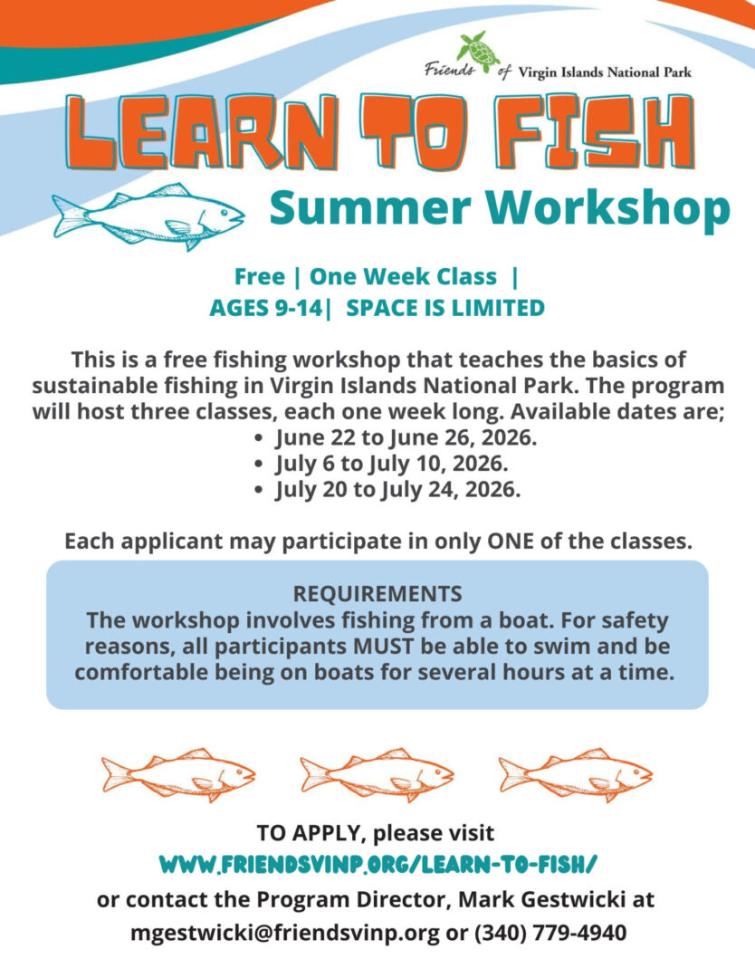 Learn to Fish Flyers - Summer