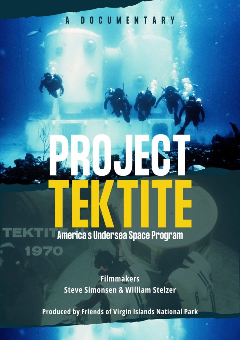 tektite poster
