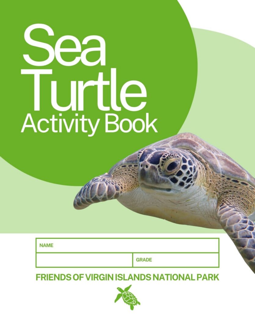 Sea Turtle Activity Book - PDF letter size