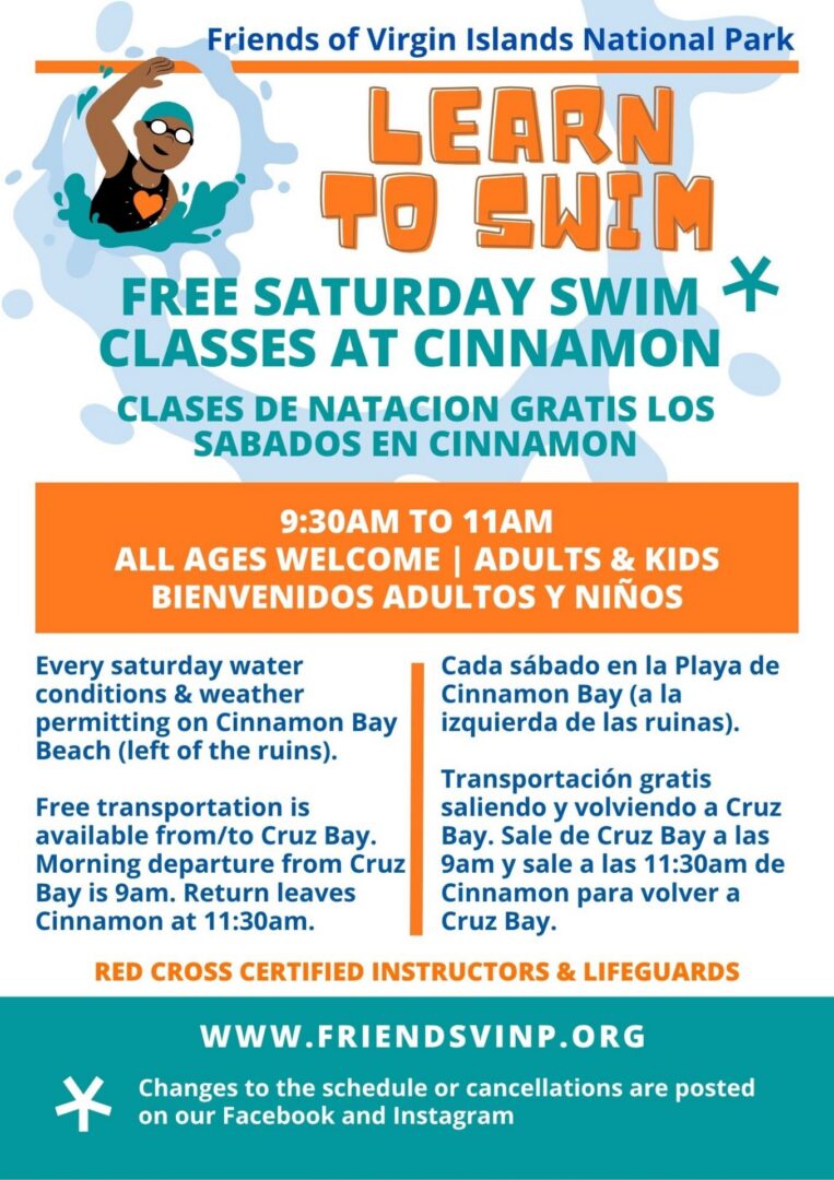 Free swim classes at Cinnamon Bay Beach.