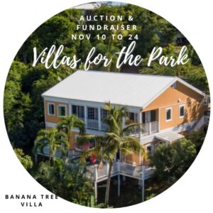 Orange two-story villa with palm trees
