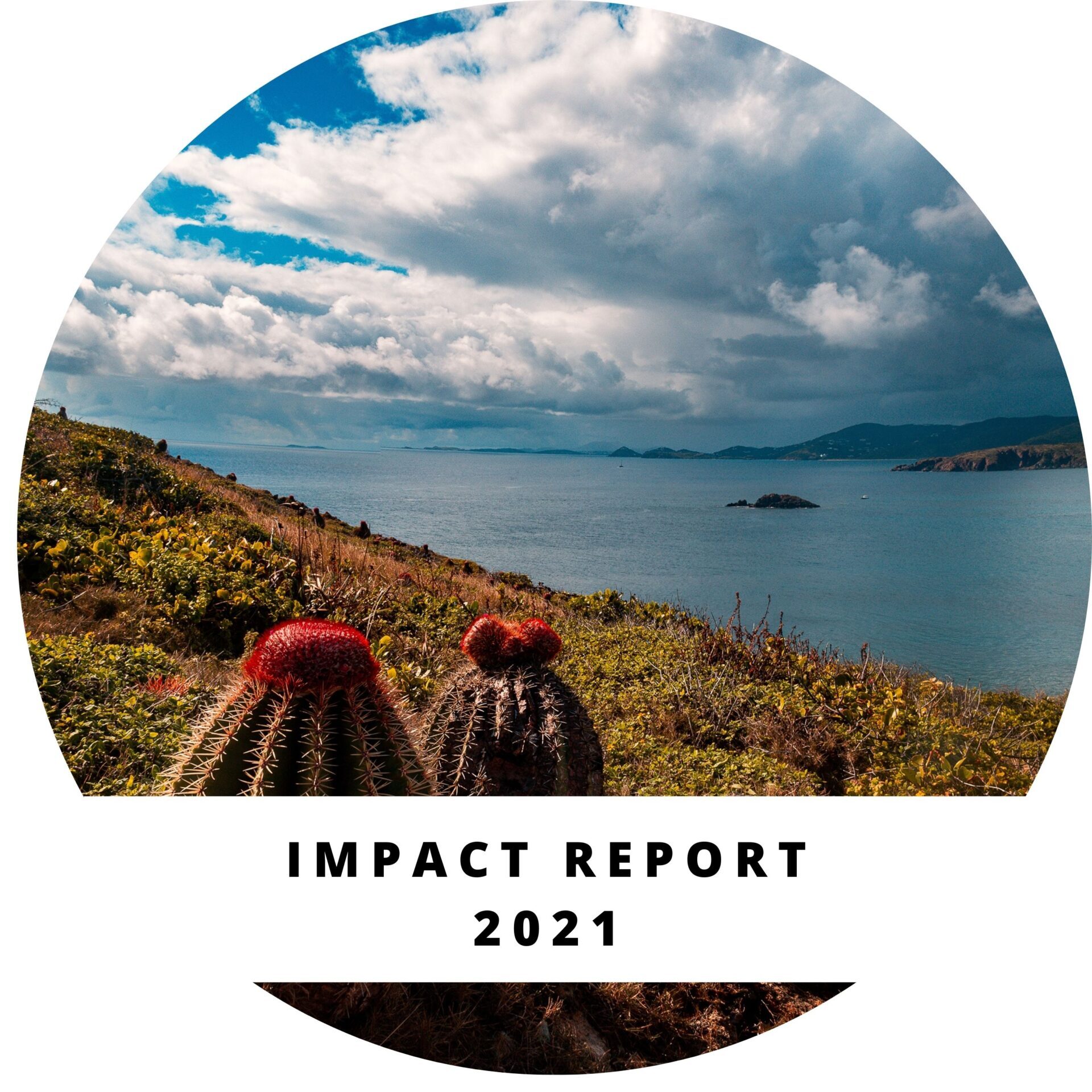 Impact Report