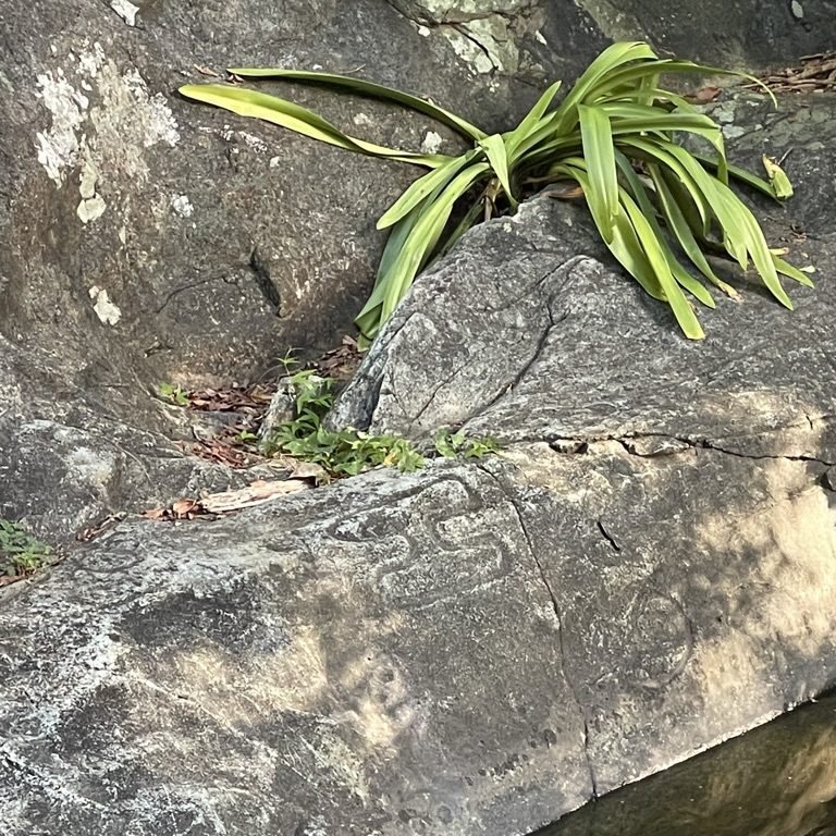 petroglyphs