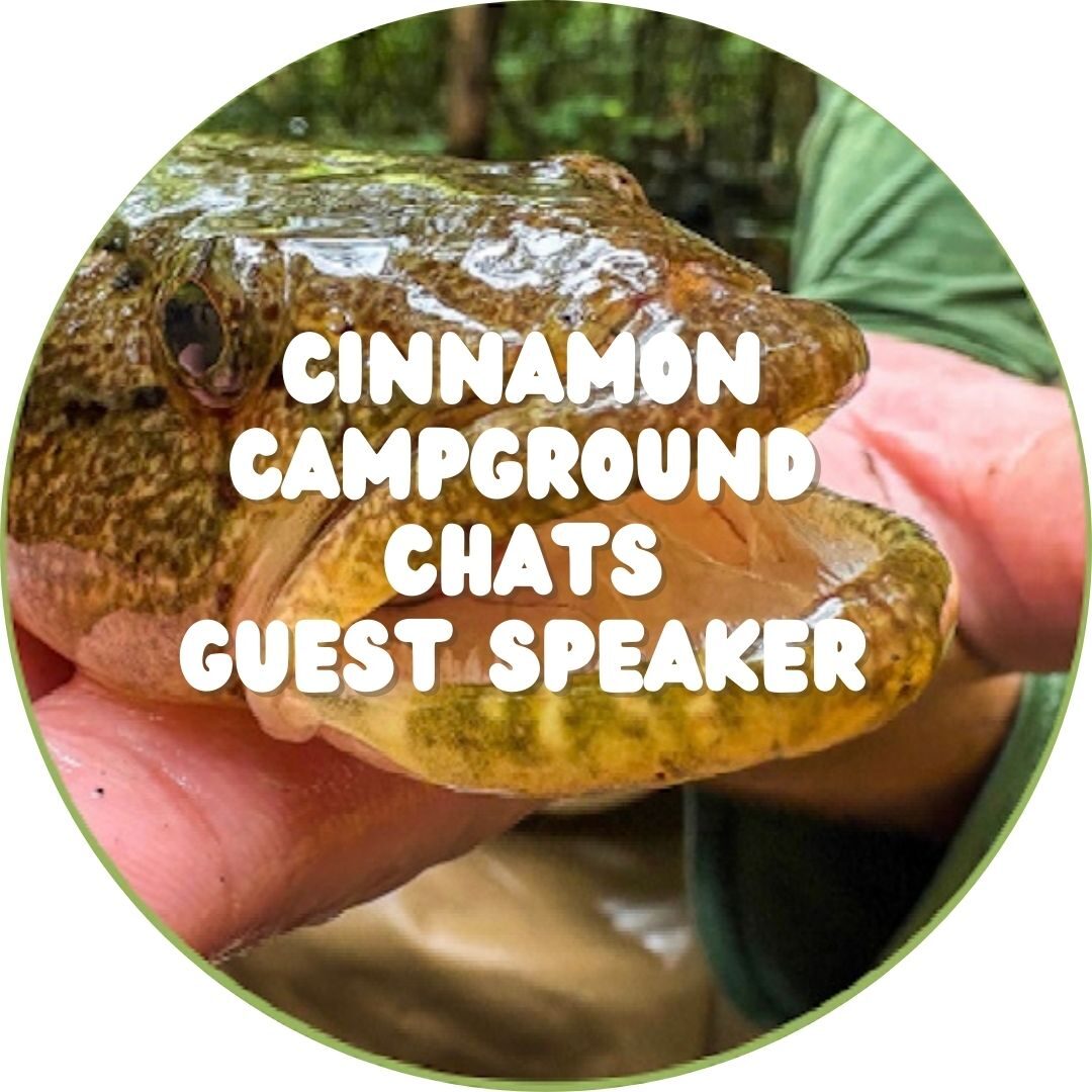 Cinnamon Guest