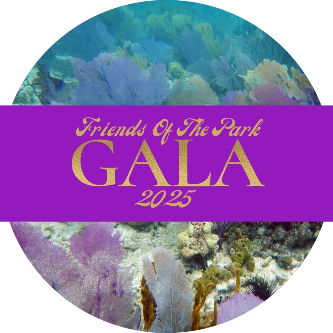 Gala Tickets 2025 (1)