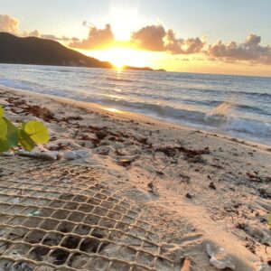 Hatched sea turtle nest at sunrise