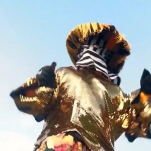 Performer in gold sequined costume and striped mask