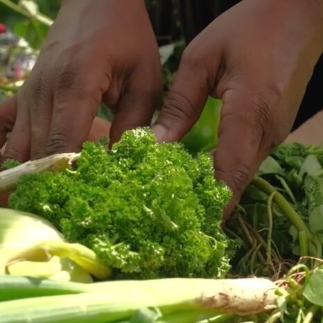 Local Herbs and Plants With Loreli Hedrington